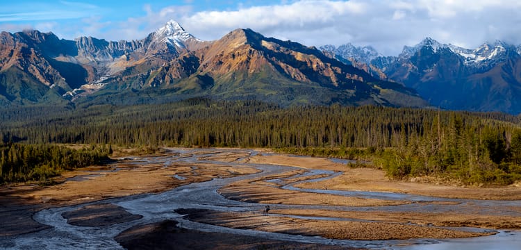 denali national park